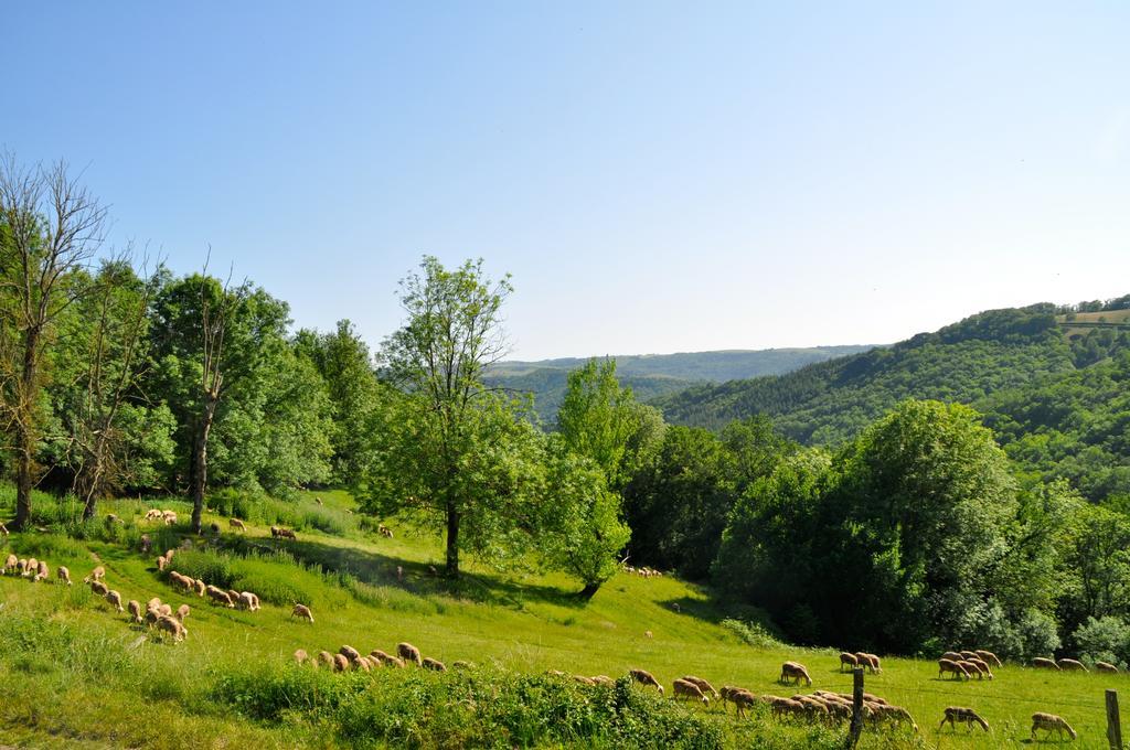 Trébas Chez Lucien Bed & Breakfast エクステリア 写真