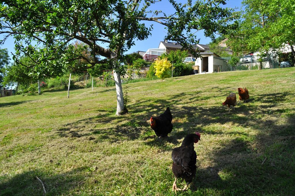 Trébas Chez Lucien Bed & Breakfast エクステリア 写真