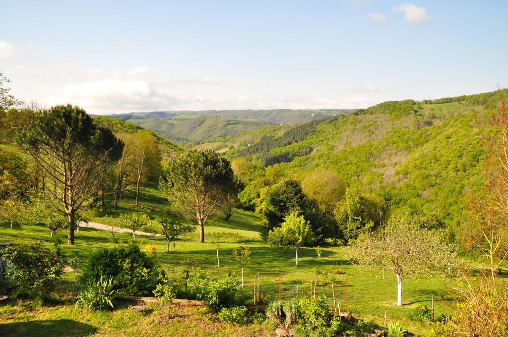 Trébas Chez Lucien Bed & Breakfast エクステリア 写真